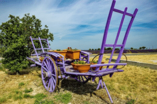 Provence