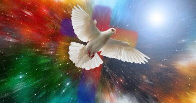 Už nikdy nebude všechno jako dříve